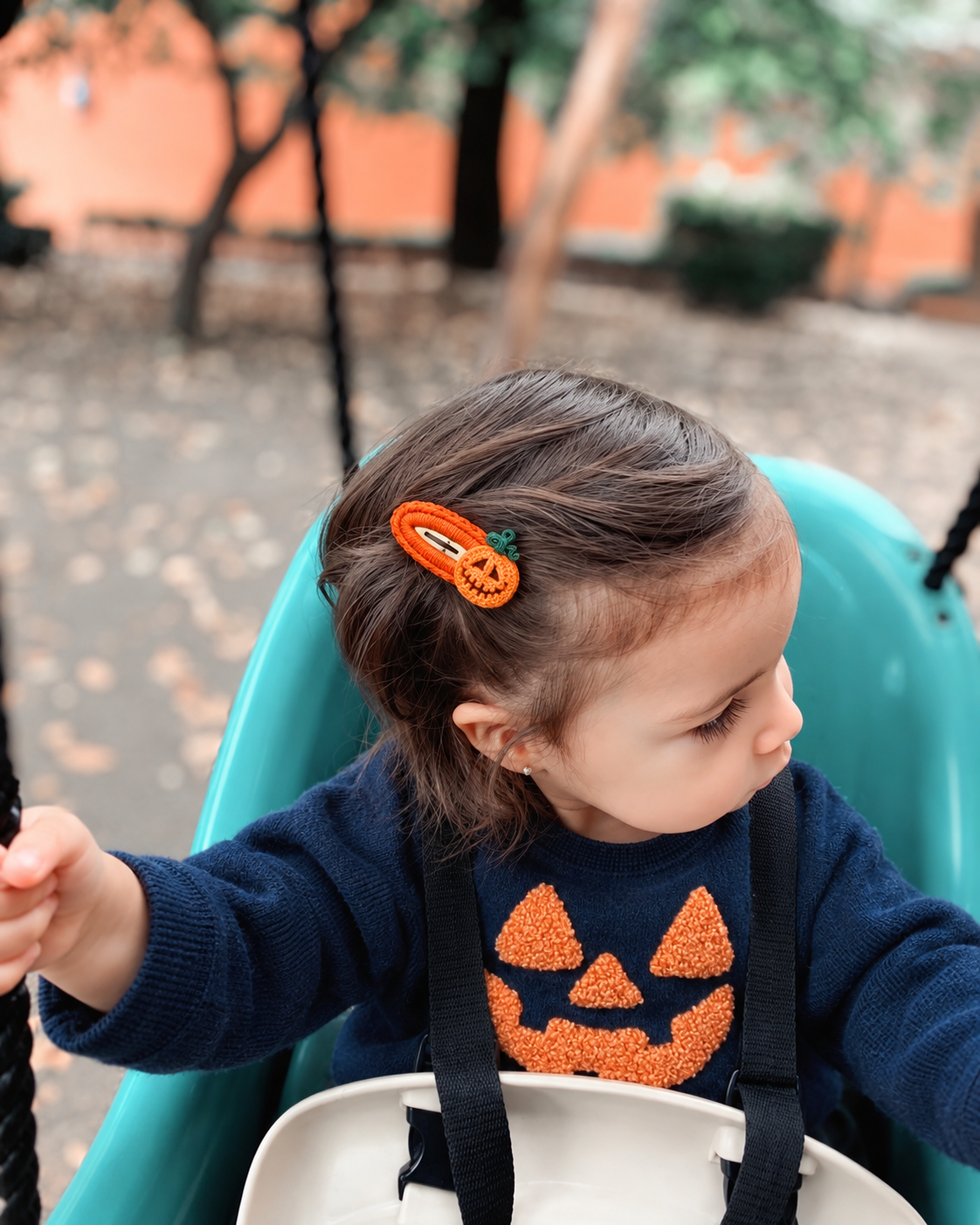 Halloween & Pumpkin Season