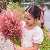 Clip Lazo Florar Palo de Rosa