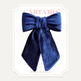 Pony Tail Velvet Destellos (Niñas y Teens)