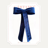 Pony Tail Velvet Destellos (Niñas y Teens)