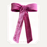 Pony Tail Velvet Destellos (Niñas y Teens)