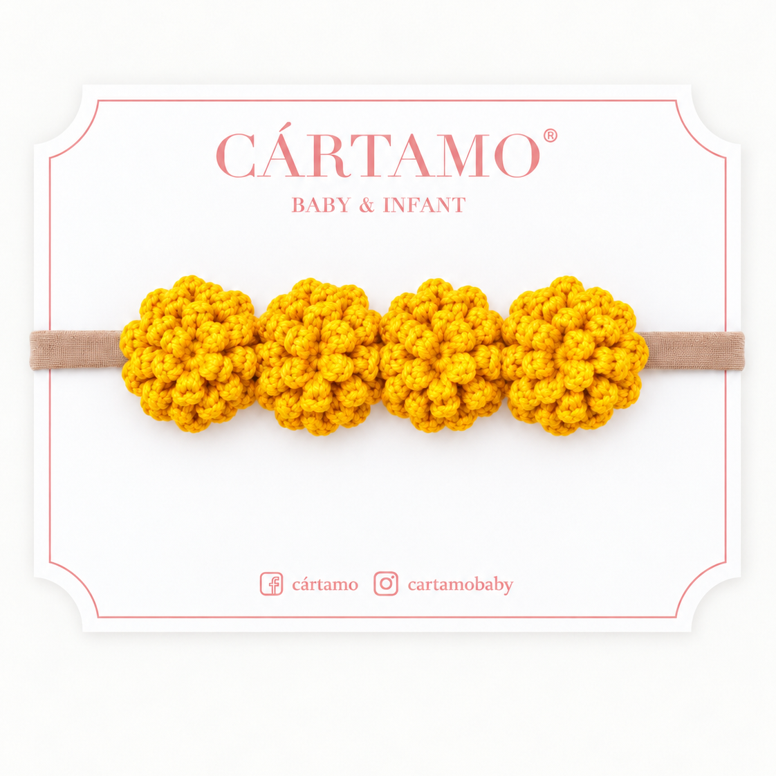 Banda Flores Cempasúchil